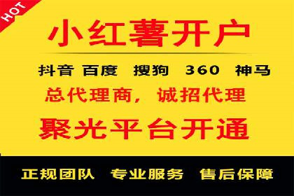 实战经验分享：SEO与SEM优化案例精选